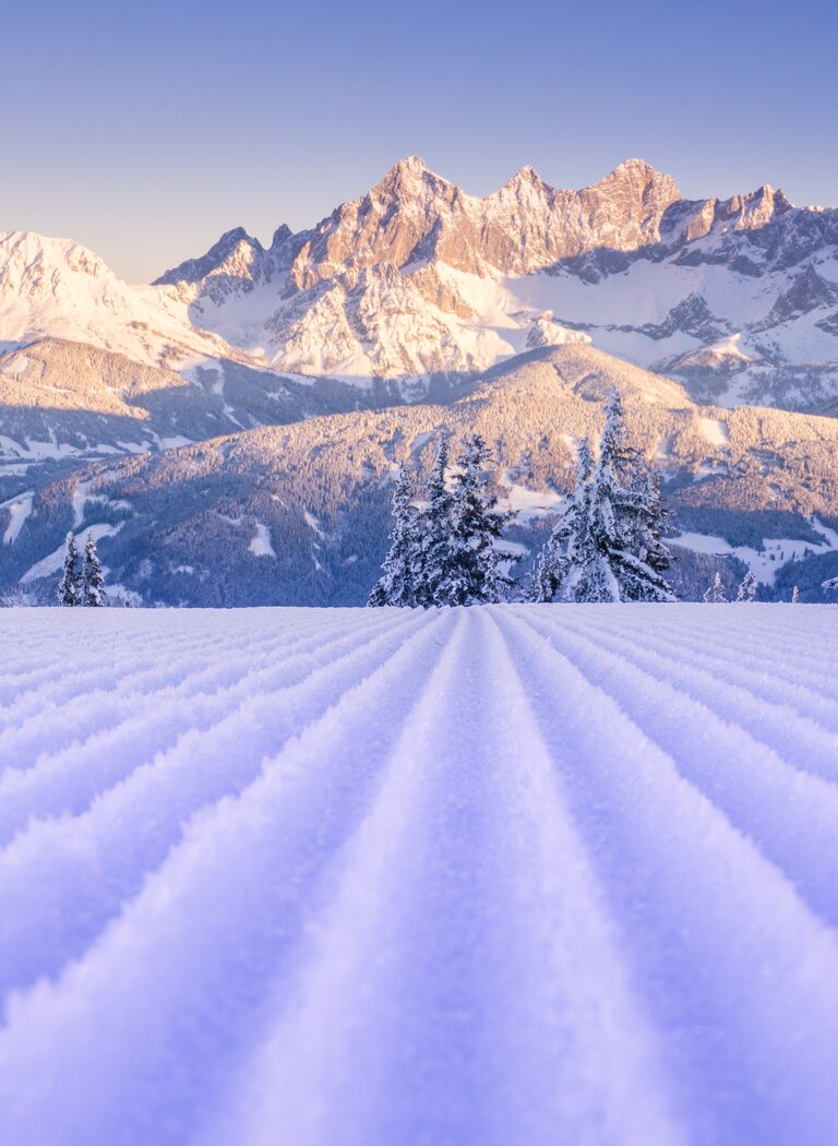 Freshly groomed ski slope at sunrise with snowy trees and the Dachstein mountain range in the background | © Ski amadé GmbH